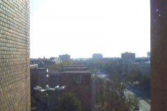 From_town_hall_6
