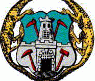 SELMCIM