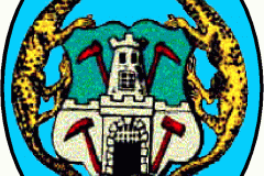 SELMCIM1