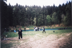 Absynth-coloured_lake_and_F_ZS